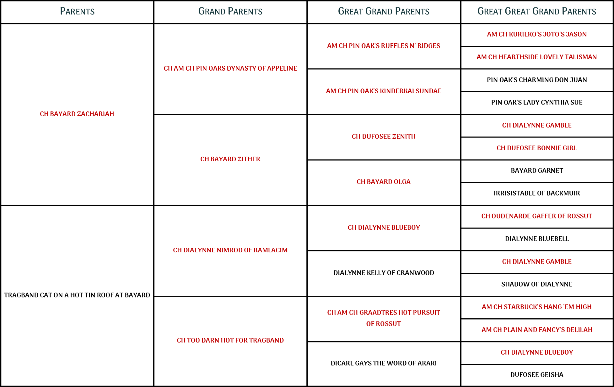 syndi pedigree